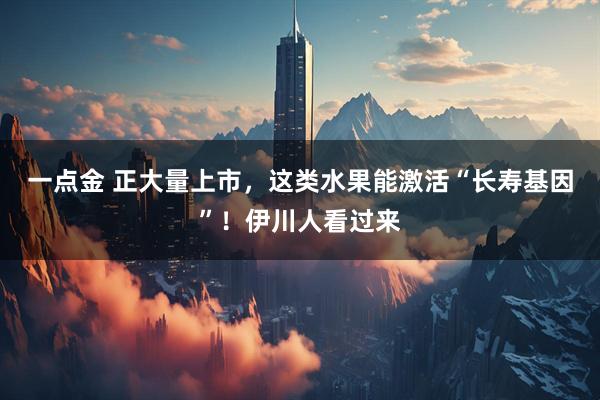 一点金 正大量上市，这类水果能激活“长寿基因”！伊川人看过来