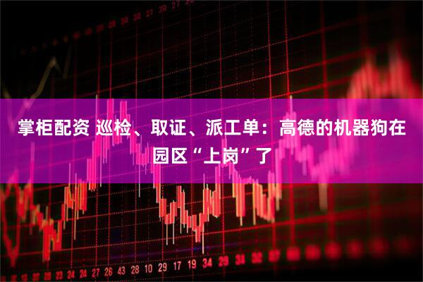 掌柜配资 巡检、取证、派工单：高德的机器狗在园区“上岗”了